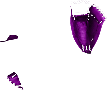 purple-palm