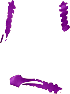 purple-web
